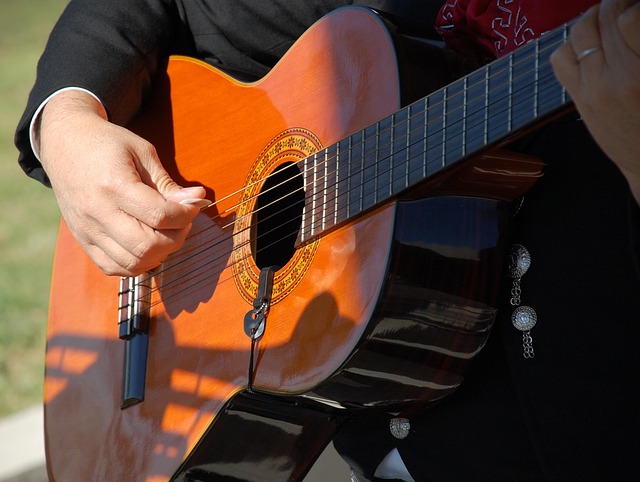 mariachis Tampa